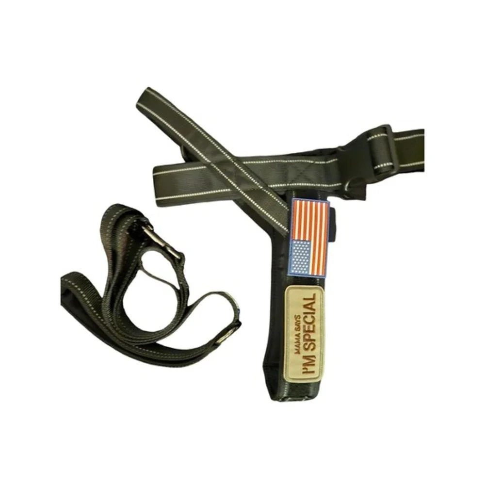 Black Dog Harness with American Flag‎ Patch and I'm Special Patch with Leash